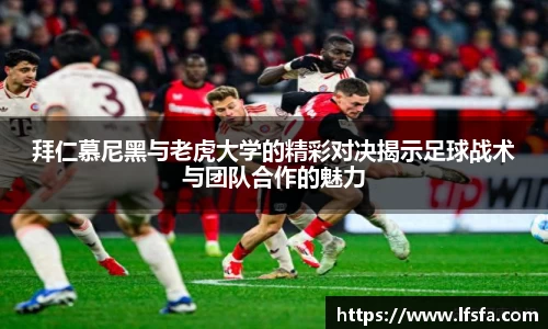 xingkong官方网站